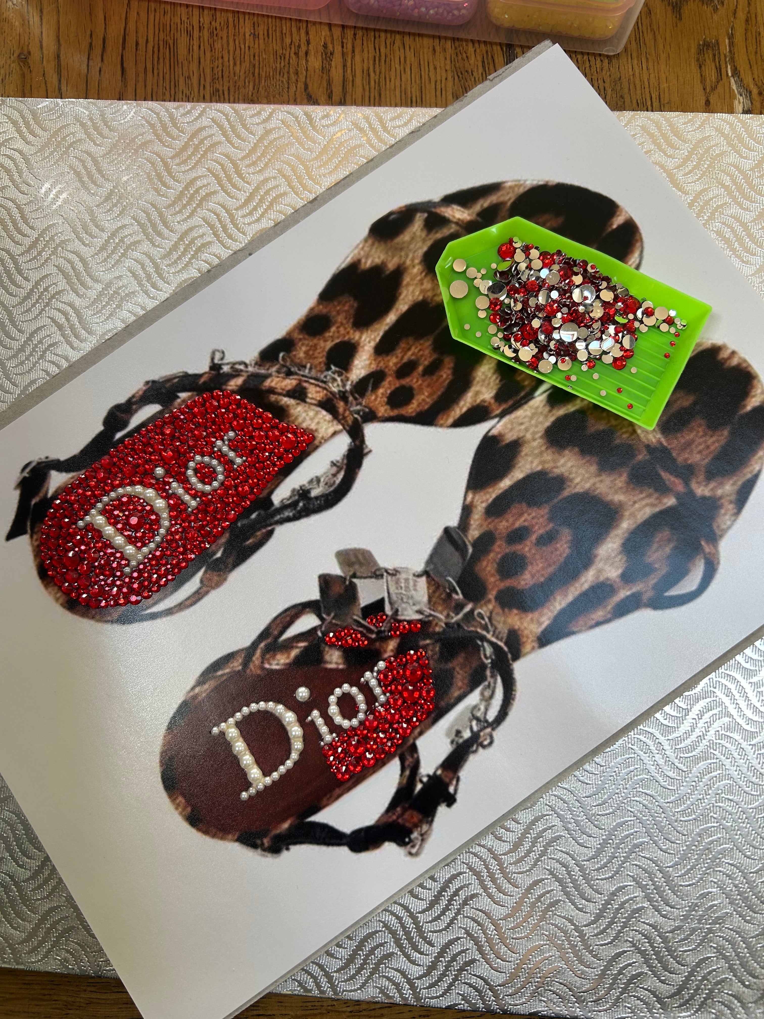 Leopard Print Shoes Kit
